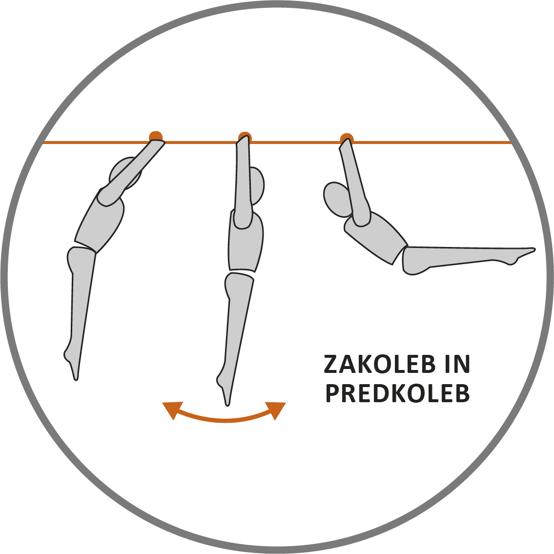 Zakoleb in predkoleb