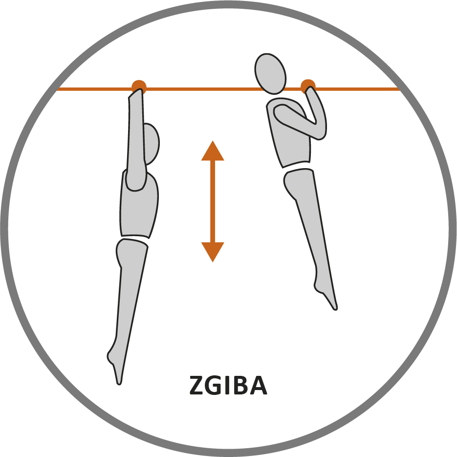 Zgiba
